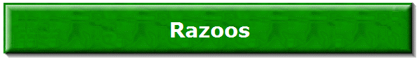 Razoos_NEcoBanner